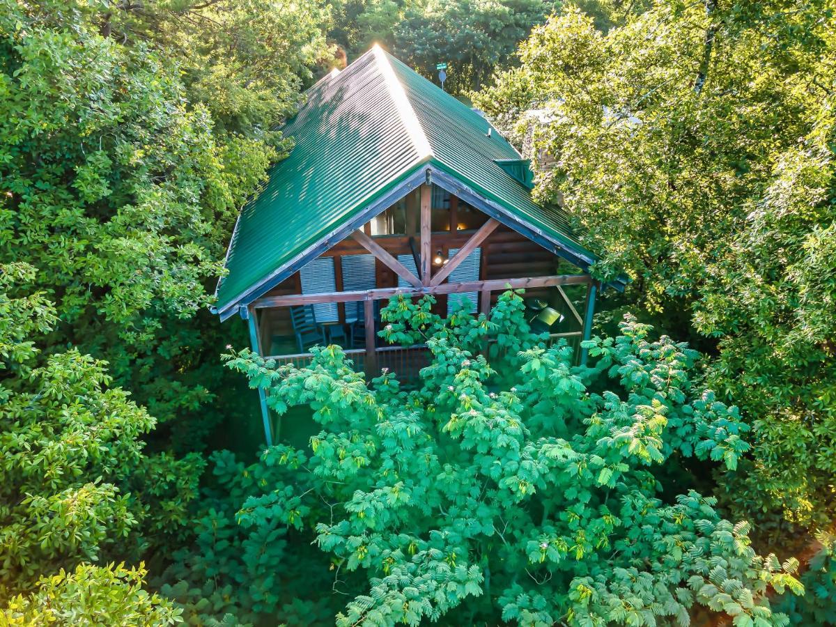 Cozy Log Cabin!! In Heart Of Pf & Close To The Smokies Pigeon Forge Zewnętrze zdjęcie
